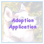 Fill out an application to adopt a siberian husky