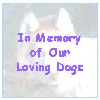 Those siberian huskies who have passed before us, we love you and miss you