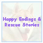 Photos of new siberian husky families and some stories about rescue.