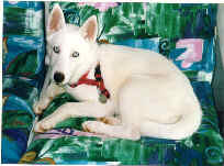 Jasmine found a new family in Ohio after her current family could not spend time with her.